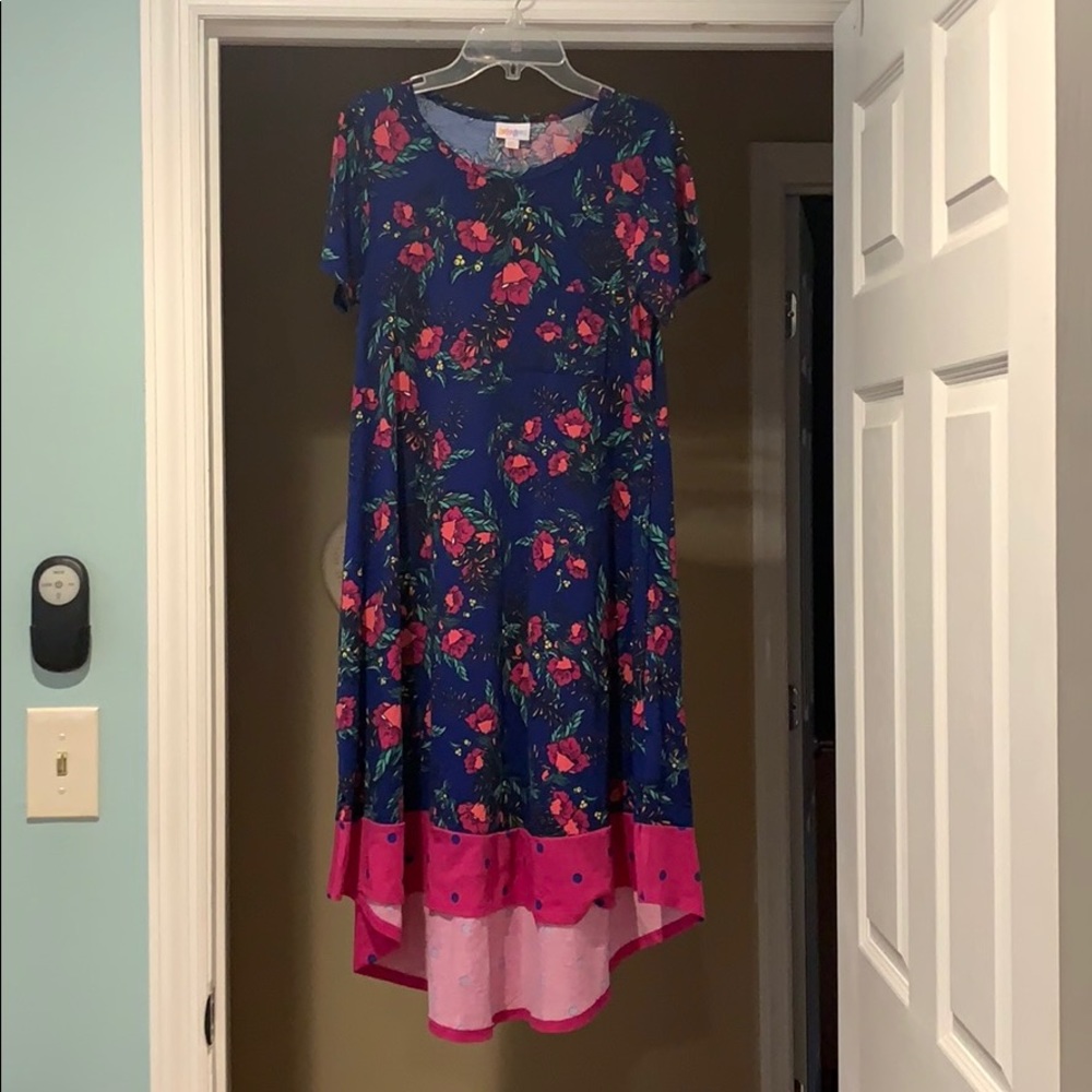Lula roe dress!